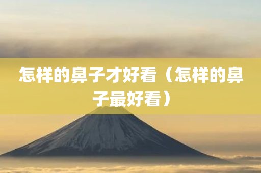 怎样的鼻子才好看（怎样的鼻子最好看）