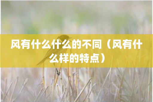 风有什么什么的不同(风有什么样的特点) 风有什么什么的不同(风有什么样的特点)