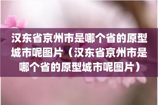 汉东省京州市是哪个省的原型城市呢图片（汉东省京州市是哪个省的原型城市呢图片）