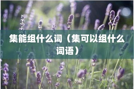 集能组什么词（集可以组什么词语）