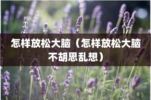 怎样放松大脑（怎样放松大脑不胡思乱想）