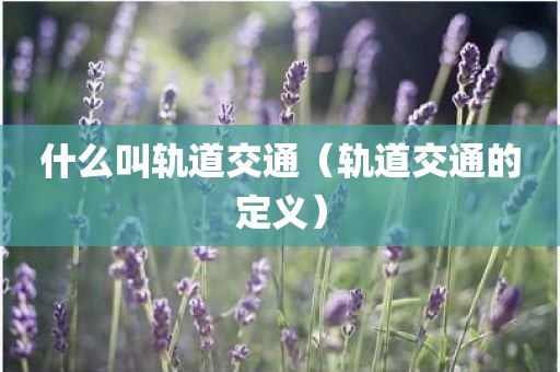 什么叫轨道交通（轨道交通的定义）