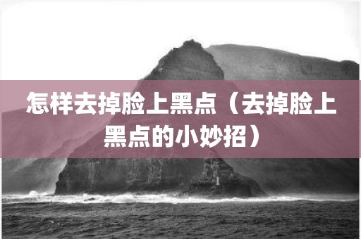 怎样去掉脸上黑点（去掉脸上黑点的小妙招）