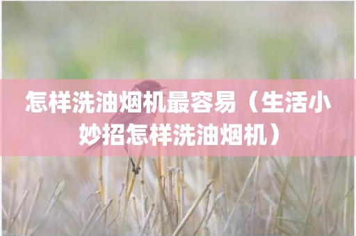 怎样洗油烟机最容易（生活小妙招怎样洗油烟机）