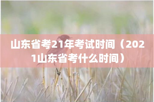山东省考21年考试时间（2021山东省考什么时间）