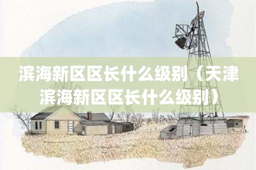 滨海新区区长什么级别（天津滨海新区区长什么级别）