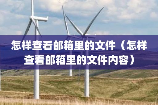 怎样查看邮箱里的文件（怎样查看邮箱里的文件内容）