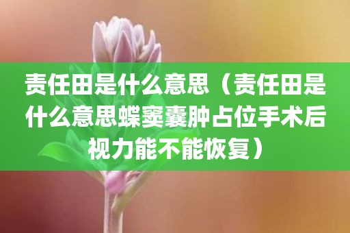 责任田是什么意思（责任田是什么意思蝶窦囊肿占位手术后视力能不能恢复）