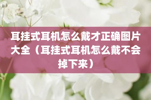 耳挂式耳机怎么戴才正确图片大全（耳挂式耳机怎么戴不会掉下来）