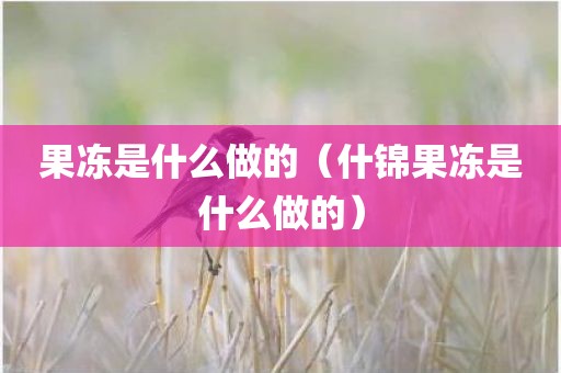 果冻是什么做的（什锦果冻是什么做的）
