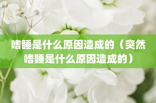 嗜睡是什么原因造成的(突然嗜睡是什么原因造成的)