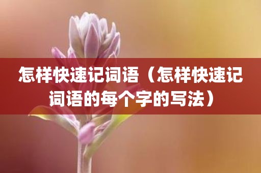 怎样快速记词语（怎样快速记词语的每个字的写法）