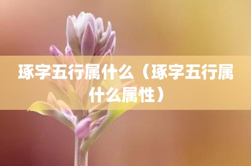 琢字五行属什么（琢字五行属什么属性）