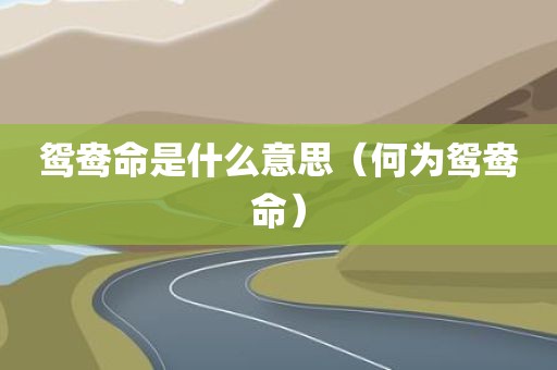 鸳鸯命是什么意思（何为鸳鸯命）
