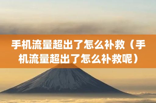 手机流量超出了怎么补救（手机流量超出了怎么补救呢）