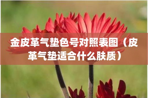 金皮革气垫色号对照表图（皮革气垫适合什么肤质）
