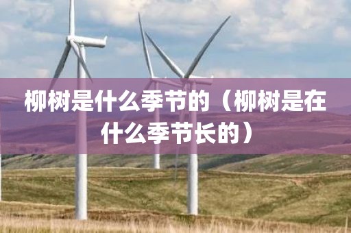 柳树是什么季节的（柳树是在什么季节长的）