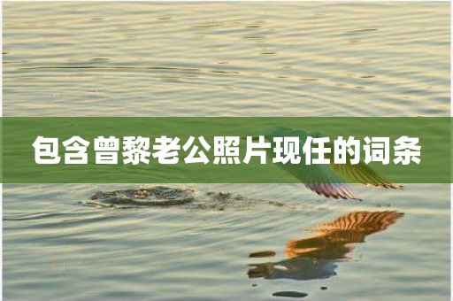 包含曾黎老公照片现任的词条