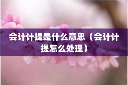 会计计提是什么意思（会计计提怎么处理）