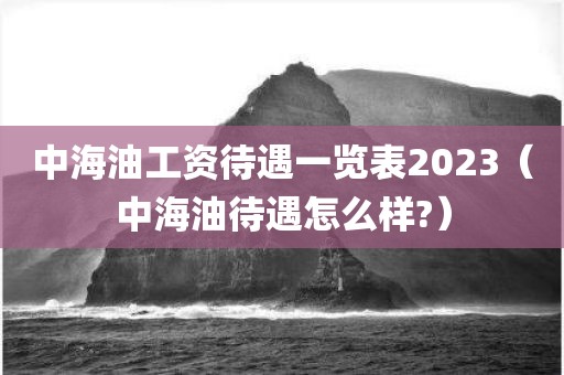 中海油工资待遇一览表2023（中海油待遇怎么样?）