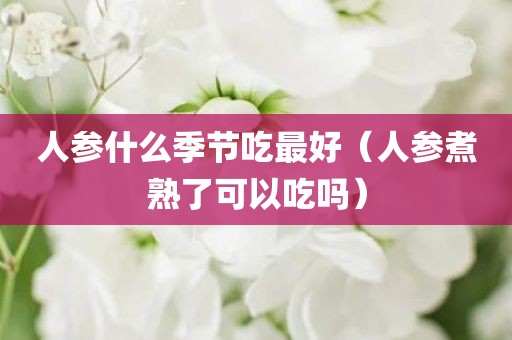 人参什么季节吃最好（人参煮熟了可以吃吗）
