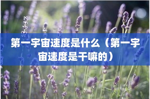 第一宇宙速度是什么（第一宇宙速度是干嘛的）