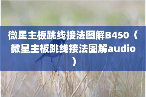 微星主板跳线接法图解B450（微星主板跳线接法图解audio）