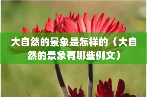 大自然的景象是怎样的（大自然的景象有哪些例文）