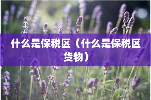 什么是保税区（什么是保税区货物）