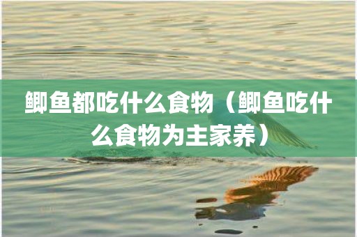 鲫鱼都吃什么食物（鲫鱼吃什么食物为主家养）