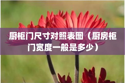 厨柜门尺寸对照表图（厨房柜门宽度一般是多少）