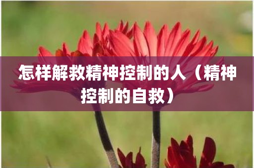 怎样解救精神控制的人（精神控制的自救）