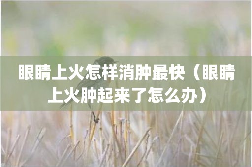 眼睛上火怎样消肿最快（眼睛上火肿起来了怎么办）