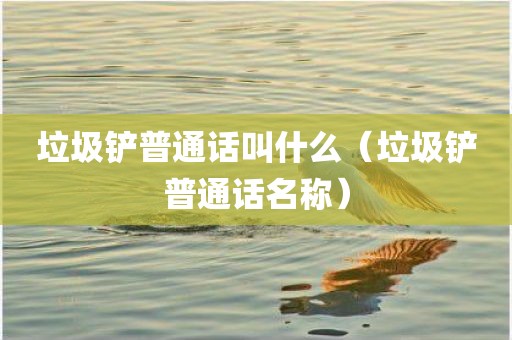 垃圾铲普通话叫什么（垃圾铲普通话名称）