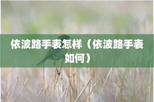 依波路手表怎样（依波路手表如何）
