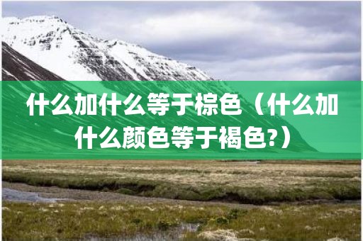 什么加什么等于棕色（什么加什么颜色等于褐色?）