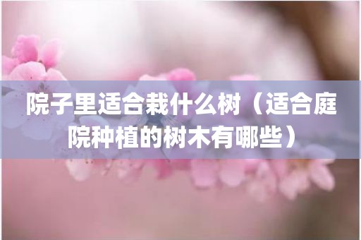 院子里适合栽什么树（适合庭院种植的树木有哪些）