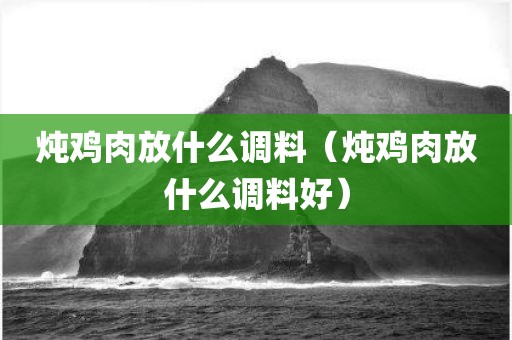 炖鸡肉放什么调料（炖鸡肉放什么调料好）
