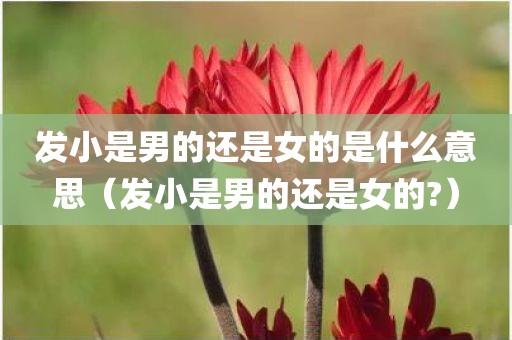 发小是男的还是女的是什么意思（发小是男的还是女的?）