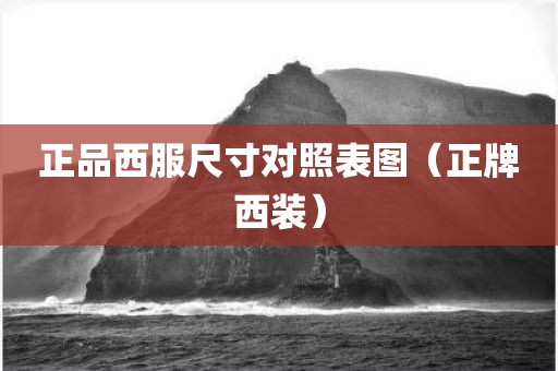 正品西服尺寸对照表图（正牌西装）