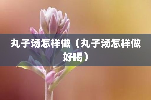 丸子汤怎样做（丸子汤怎样做好喝）