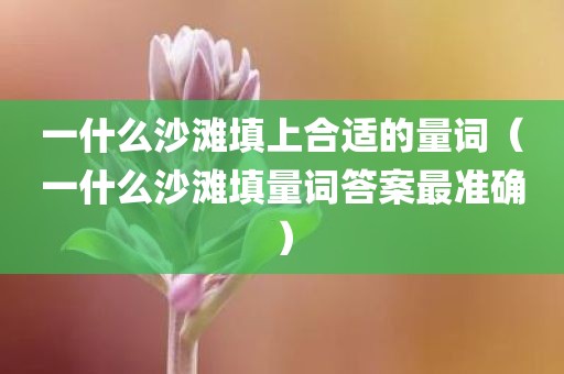 一什么沙滩填上合适的量词（一什么沙滩填量词答案最准确）