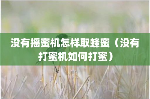 没有摇蜜机怎样取蜂蜜（没有打蜜机如何打蜜）