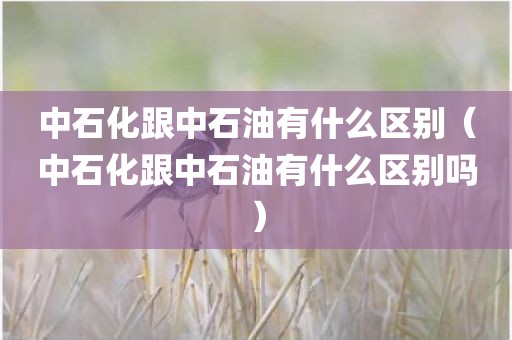中石化跟中石油有什么区别（中石化跟中石油有什么区别吗）