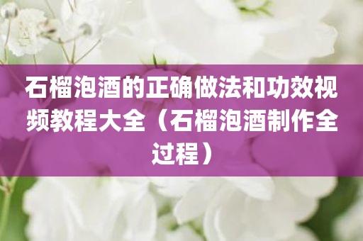 石榴泡酒的正确做法和功效视频教程大全（石榴泡酒制作全过程）