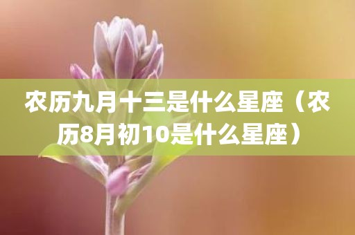 农历九月十三是什么星座（农历8月初10是什么星座）
