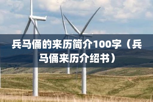 兵马俑的来历简介100字（兵马俑来历介绍书）