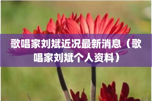 歌唱家刘斌近况最新消息（歌唱家刘斌个人资料）