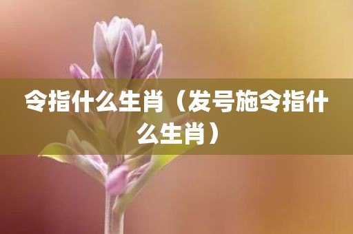 令指什么生肖（发号施令指什么生肖）