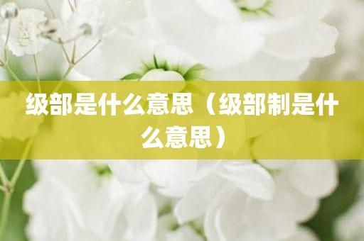 级部是什么意思（级部制是什么意思）